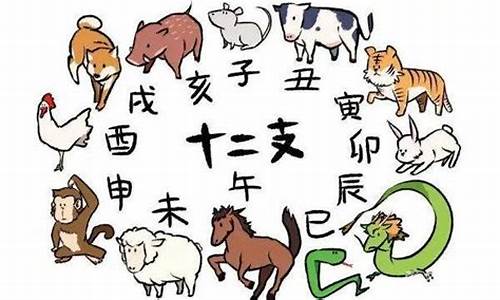 羊属猪龙开打一生肖-属羊的属猪的