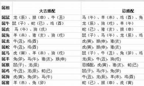 属猪跟十二生肖婚配-属猪的跟属啥的婚配